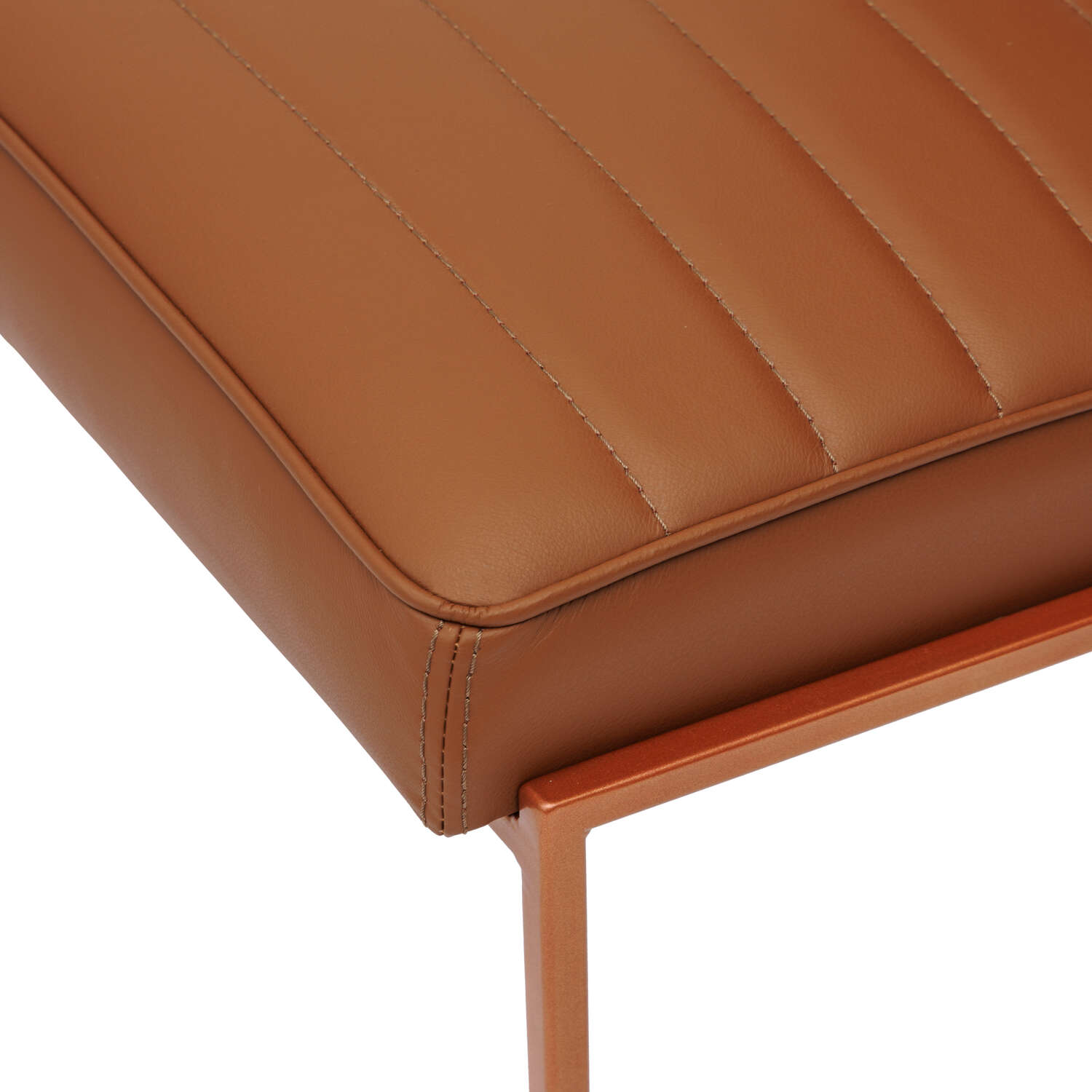 CDCGK-CDCK-CDCL1P-K_detail.jpg