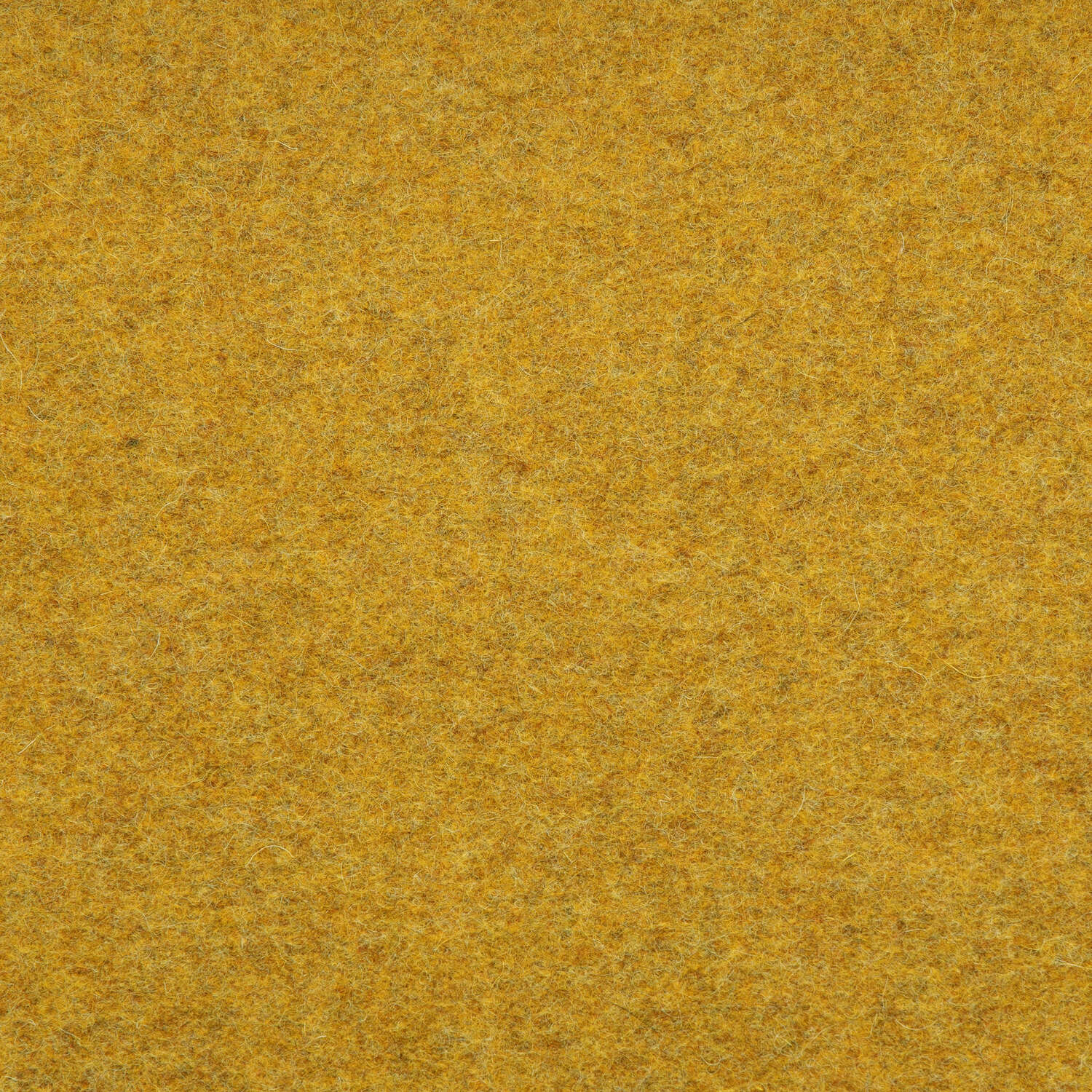 fs-W347_front.jpg